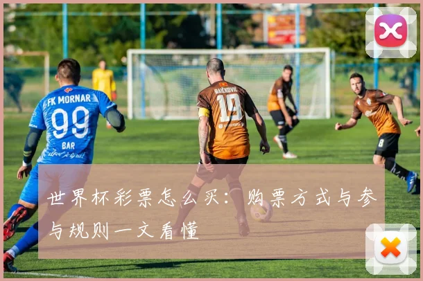 世界杯彩票怎么买：购票方式与参与规则一文看懂