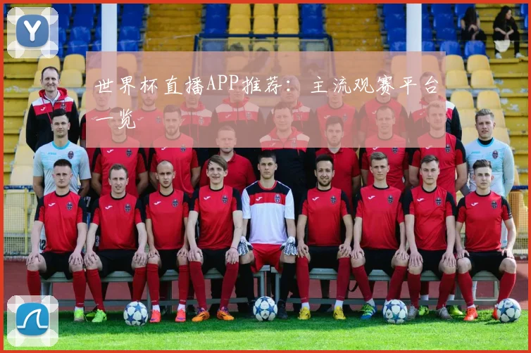 世界杯直播APP推荐：主流观赛平台一览