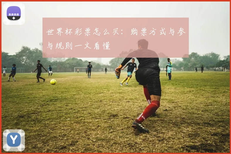 世界杯彩票怎么买：购票方式与参与规则一文看懂