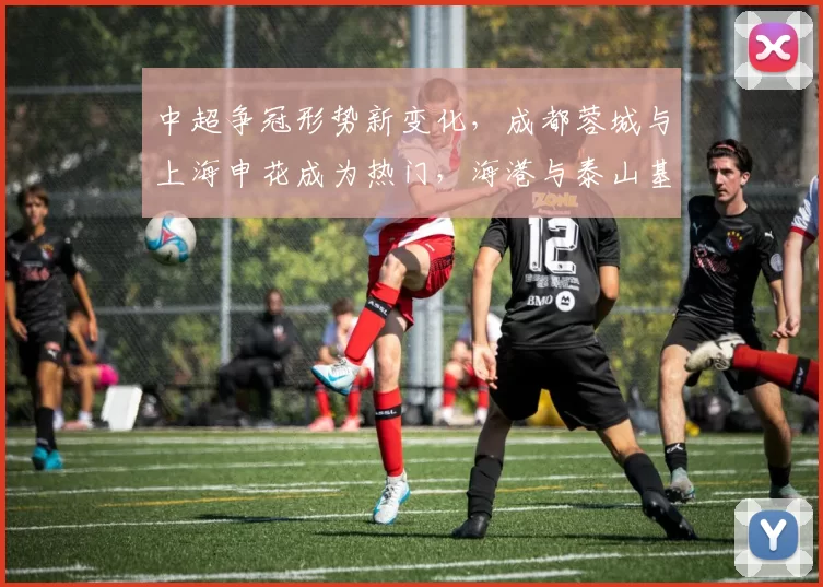 中超争冠形势新变化，成都蓉城与上海申花成为热门，海港与泰山基本无缘_赛季_调整_球迷