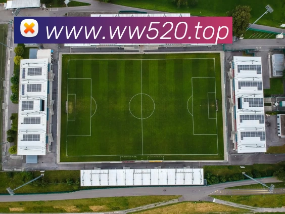 开云app官方在线登录入口 - 开云(中国)发展历程